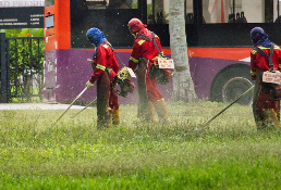 Fertilizers